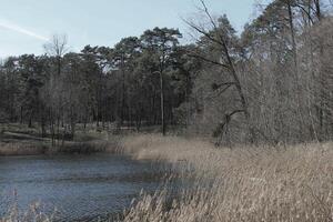 la nature Contexte photo