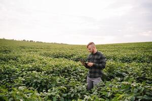 Jeune agronome détient tablette toucher tampon ordinateur dans le soja champ et examiner cultures avant récolte. secteur agroalimentaire concept. agricole ingénieur permanent dans une soja champ avec une tablette dans été. photo