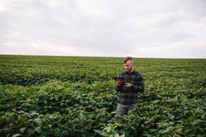 Jeune agronome détient tablette toucher tampon ordinateur dans le soja champ et examiner cultures avant récolte. secteur agroalimentaire concept. agricole ingénieur permanent dans une soja champ avec une tablette dans été. photo