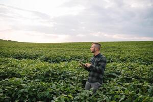 Jeune agronome détient tablette toucher tampon ordinateur dans le soja champ et examiner cultures avant récolte. secteur agroalimentaire concept. agricole ingénieur permanent dans une soja champ avec une tablette dans été. photo