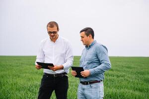 deux agriculteur permanent dans une blé champ et à la recherche à tablette, elles ou ils sont examiner corp photo