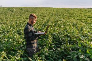 Jeune agronome détient tablette toucher tampon ordinateur dans le soja champ et examiner cultures avant récolte. secteur agroalimentaire concept. agricole ingénieur permanent dans une soja champ avec une tablette dans été. photo