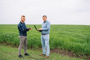 deux agriculteur permanent dans une blé champ et à la recherche à ordinateur portable, elles ou ils sont examiner corp. Jeune Beau agronome. secteur agroalimentaire concept. agricole ingénieur permanent dans une blé champ. photo