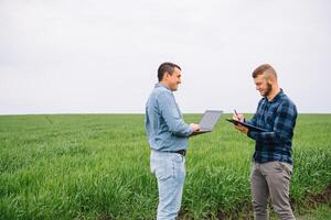 deux agriculteur permanent dans une blé champ et à la recherche à ordinateur portable, elles ou ils sont examiner corp. Jeune Beau agronome. secteur agroalimentaire concept. agricole ingénieur permanent dans une blé champ. photo