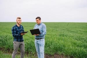 deux agriculteur permanent dans une blé champ et à la recherche à ordinateur portable, elles ou ils sont examiner corp. Jeune Beau agronome. secteur agroalimentaire concept. agricole ingénieur permanent dans une blé champ. photo