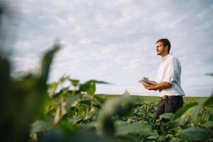 Jeune agriculteur dans déposé examiner soja corp. il est les pouces en haut photo