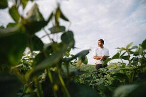 Jeune agriculteur dans déposé examiner soja corp. il est les pouces en haut photo