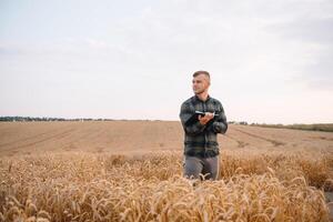 Jeune attrayant agriculteur avec portable permanent dans blé champ avec combiner moissonneuse dans Contexte. photo