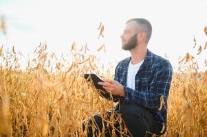 une Jeune Beau agriculteur ou agronome examine le maturité de soja dans le champ avant récolte photo