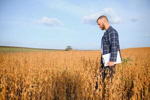 agronome inspecte soja surgir dans agricole champ - agro concept - agriculteur dans soja plantation sur ferme photo