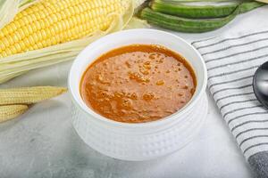 végétalien cuisine - chaud tomate soupe photo