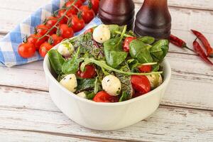 mélanger salade avec mozzarella et tomate photo