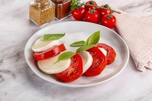 italien caprese salade avec mozzarella photo