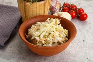 diététique savoureux cole salade de chou salade photo