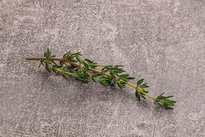 arôme assaisonnement thym tige avec feuilles photo