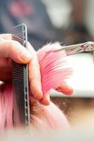 femme ayant une Nouveau la Coupe de cheveux. Masculin coiffeur Coupe rose cheveux avec les ciseaux dans une cheveux salon, proche en haut. photo