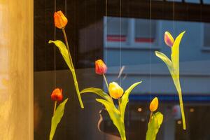 tulipes sur une corde dans une magasin fenêtre photo