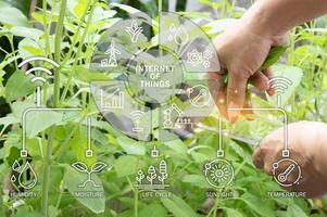 le concept de en utilisant ai et intelligent agriculture photo