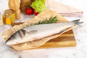 brut Loup de mer poisson pour cuisine photo