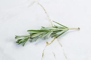 Romarin branche - biologique épicé herbe photo