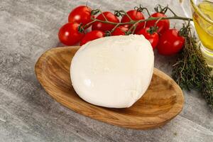 rond mozzarella Jeune fromage Balle photo