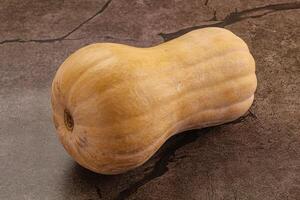 brut mûr biologique butternut citrouille photo