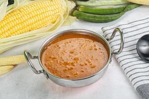 végétalien cuisine - chaud tomate soupe photo