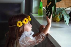 Jeune fille avec une couronne de Jaune fleurs à la recherche à une plante d'appartement feuille sur rebord de fenêtre. photo