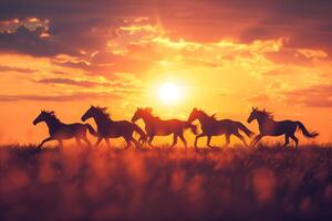 majestueux groupe de les chevaux galope à travers le champ contre le toile de fond de une chaud le coucher du soleil photo