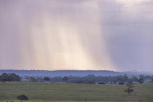 paysage de bétail ferme avec pluie dans le Contexte photo