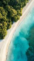 aérien vue de tropical plage photo