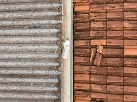 chat sur maison toit photo