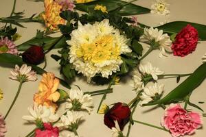 beaucoup type de bouquet de fleurs et feuille avec propager distribué dans une lisse horizontal surface photo