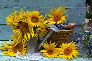 magnifique encore la vie avec tournesols et bleu baie dans le jardin. romantique salutation carte pour anniversaire, valentines, les mères journée concept. été campagne Contexte avec ancien objets photo