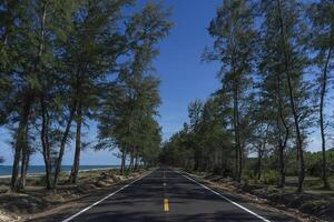 vide route avec pin des arbres et bleu ciel. photo
