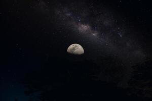 le moitié lune dans le nuit. photo
