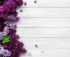 bordure de fleurs de printemps lilas photo