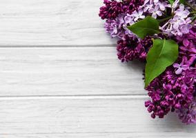 bordure de fleurs de printemps lilas photo