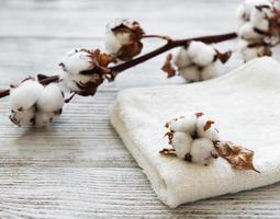 fleur de coton et serviette photo