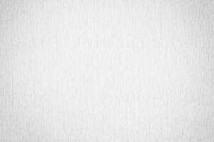 minimaliste blanc et gris bois texture Contexte. photo