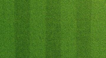 vibrant vert herbe texture, parfait Contexte pour des sports et des loisirs. photo