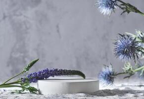 Contexte pour cosmétique des produits scène avec bleu fleurs. béton rond blanc podium. vide vitrine pour emballage produit présentation. moquer en haut piédestal. photo