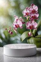 blanc Plate-forme et podium Contexte sur la nature et orchidée pour produit supporter afficher La publicité cosmétique beauté des produits ou soin de la peau avec vide rond étape photo