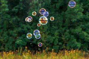 bulles de savon au soleil. photo