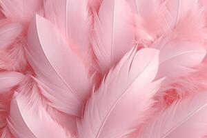 magnifique plume modèle fond d'écran, rêveur plume abstrait arrière-plan, rose plumes fond d'écran, lumière rose oiseau plumes modèle, photo
