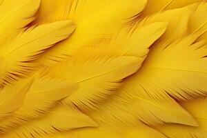 Jaune plumes arrière-plan, Jaune plumes modèle, plumes arrière-plan, plumes fond d'écran, oiseau plumes modèle, photo