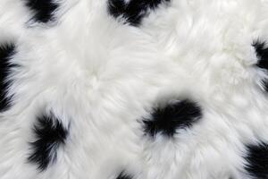 Panda peau fourrure texture, Panda fourrure arrière-plan, duveteux Panda peau fourrure texture, animal peau fourrure texture, fourrure arrière-plan, blanc fourrure texture, photo
