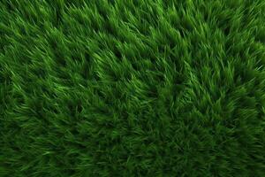vert herbe texture, herbe arrière-plan, herbe texture fond d'écran, Haut vue vert herbe texture, photo