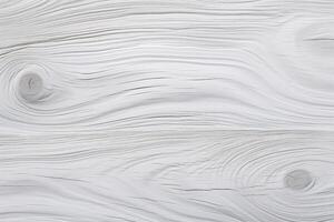 blanc bois texture, blanc en bois texture, blanc bois arrière-plan, blanc bois fond d'écran, Frais bois texture, lumière bois texture, photo