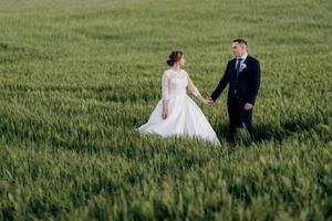 le marié et la mariée marchent le long du champ de blé vert